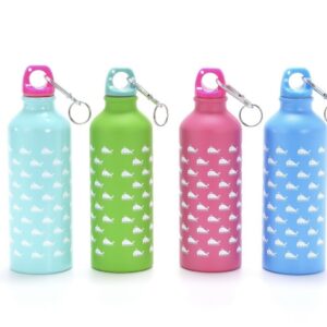 Botella de aluminio tapa rosca / 500ml