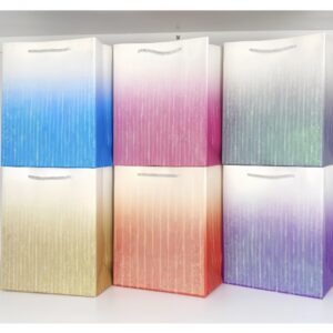 BOLSA DE REGALO * 12 UNI SURTDO COLOR /23*18*10CM