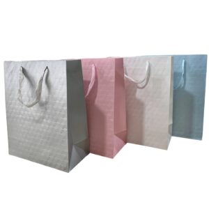 BOLSA REGALO PAPEL Liso* 12UNI / 26*32*12CM
