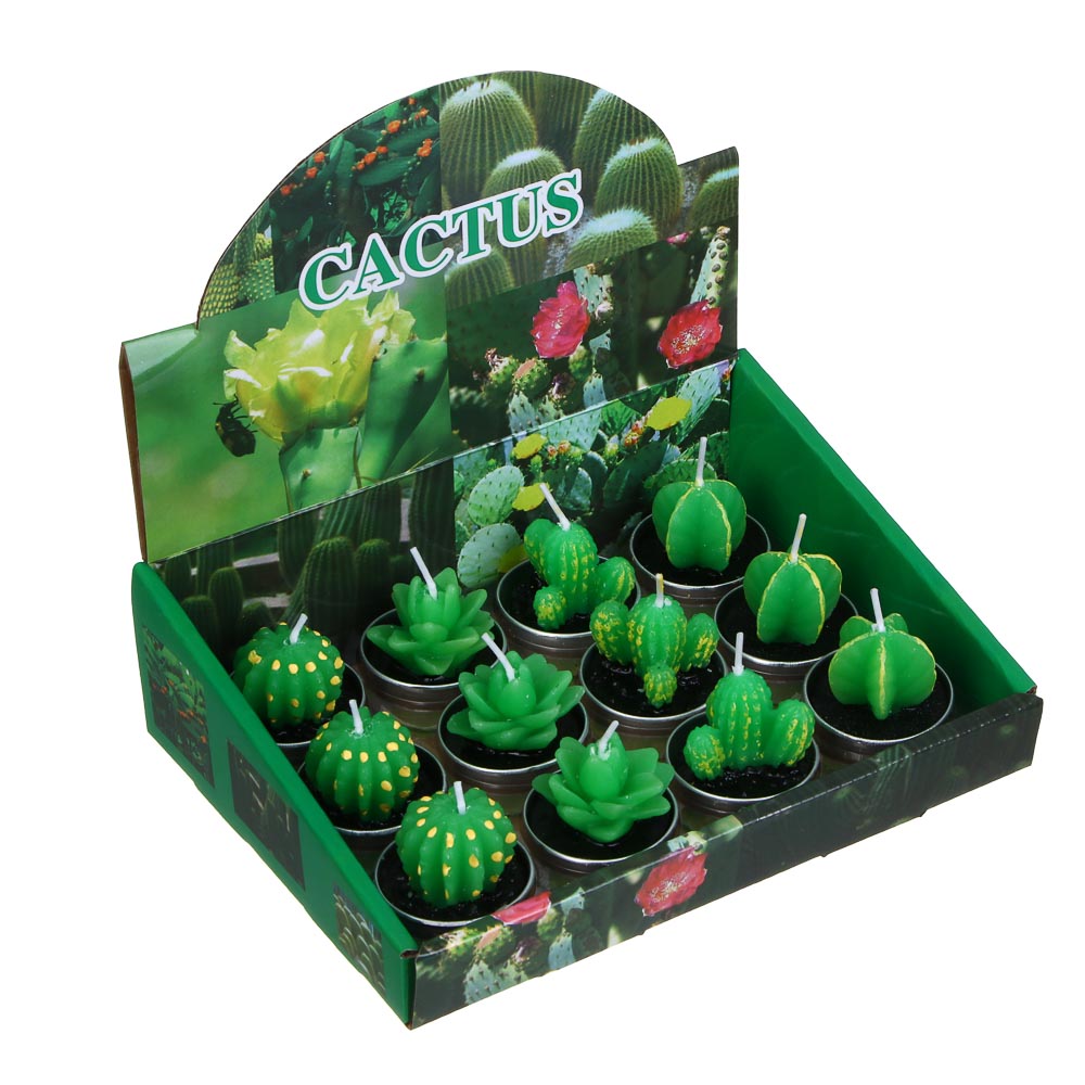 Velas decorativas diseño cactus